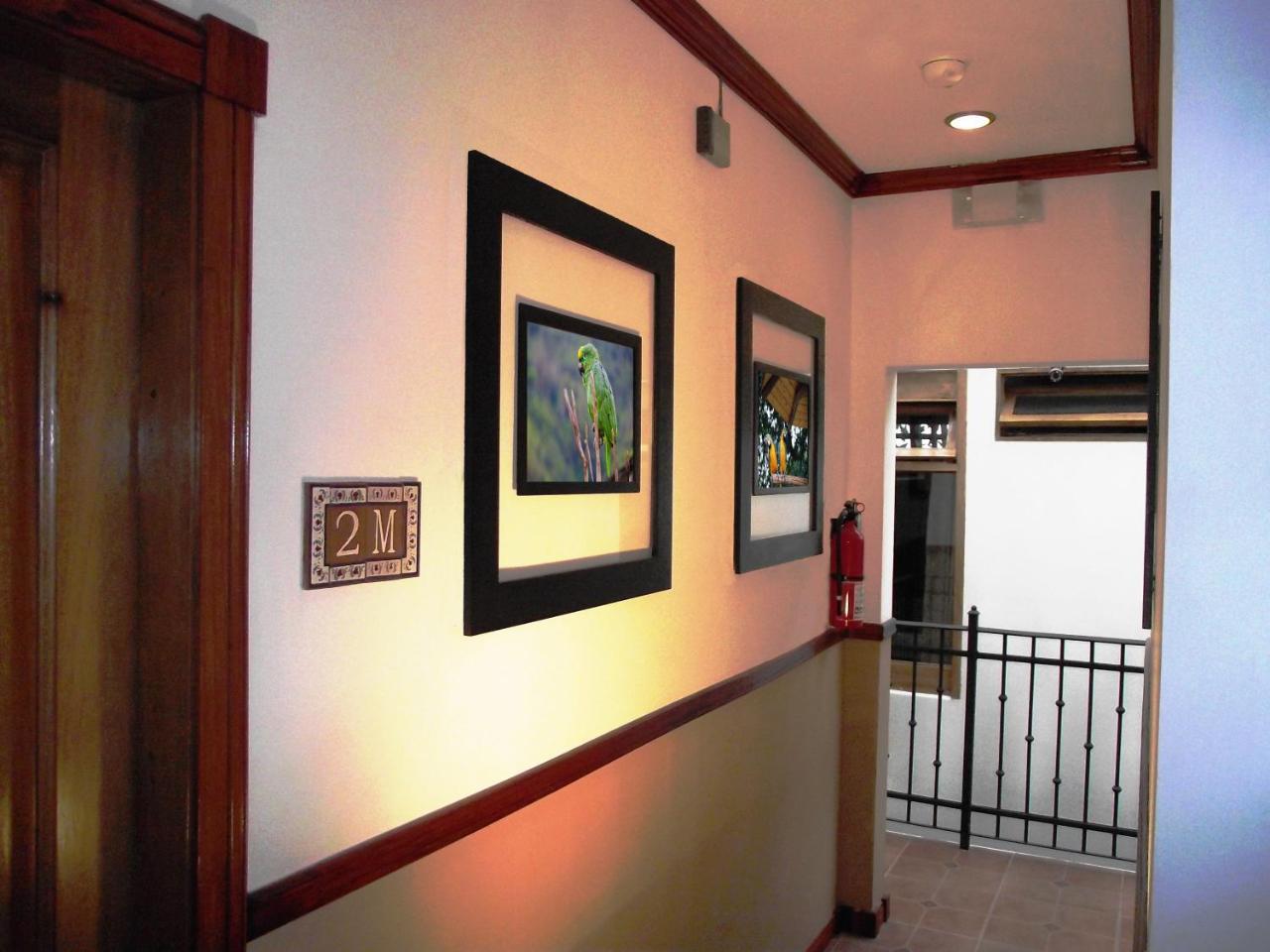 Boutique Hotel Calle 20 サンホセ エクステリア 写真