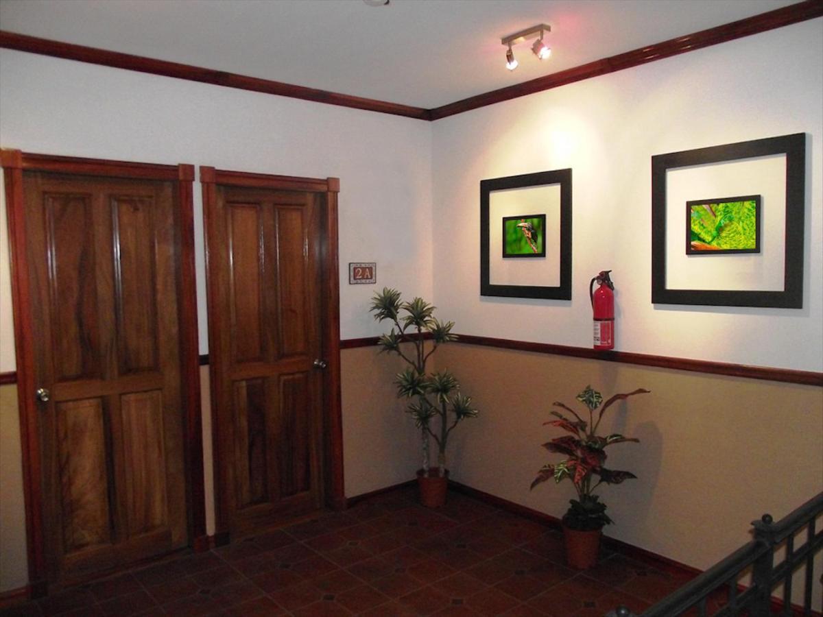 Boutique Hotel Calle 20 サンホセ エクステリア 写真